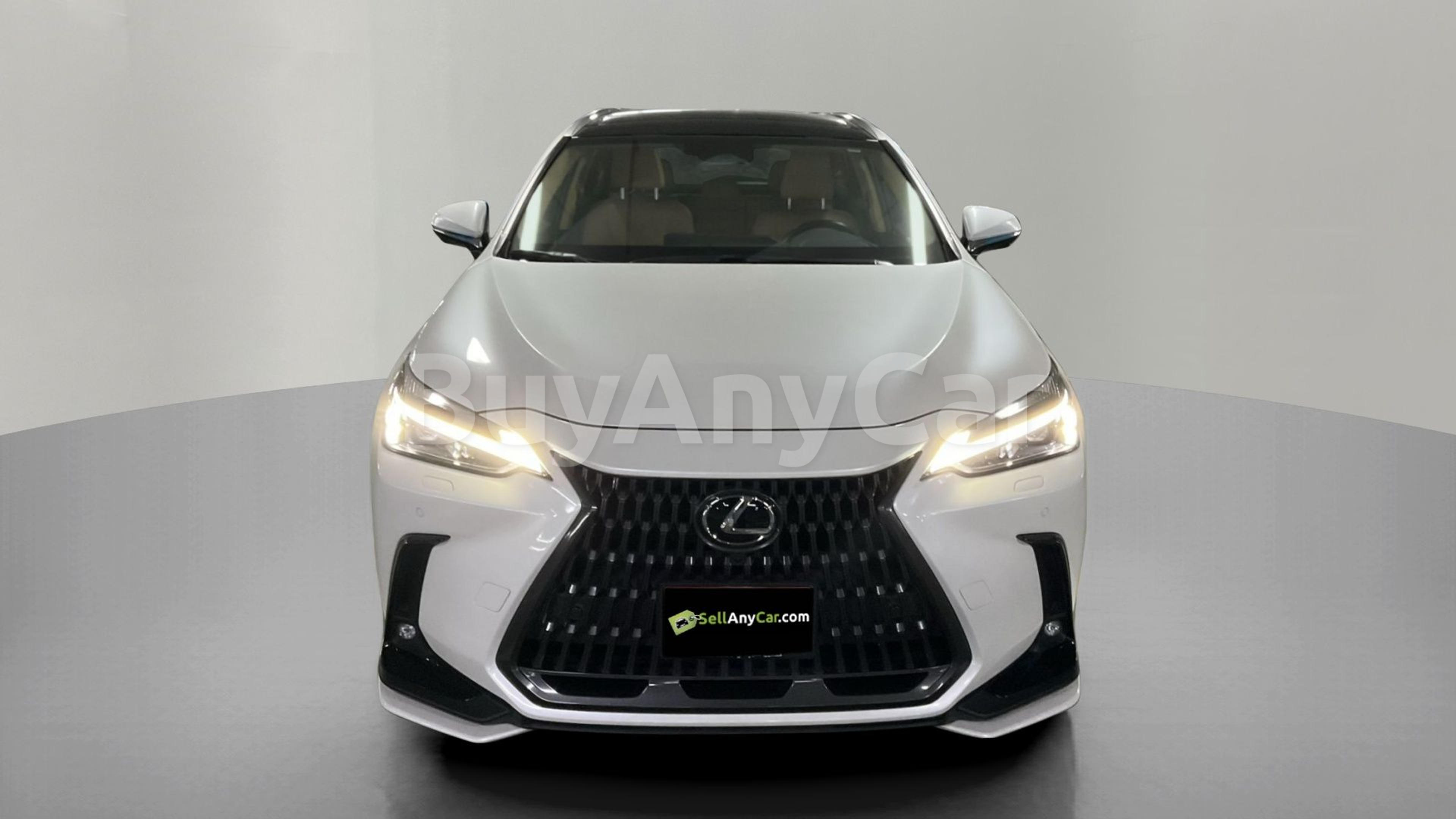 2025 Lexus NX