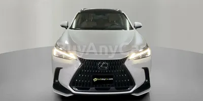 carsDetail