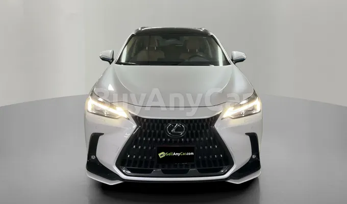 carsDetail