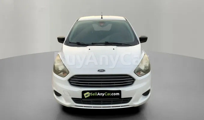 carsDetail