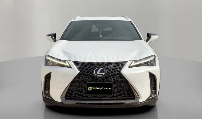 carsDetail