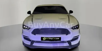 carsDetail