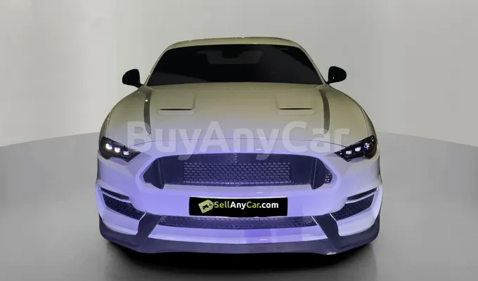 carsDetail