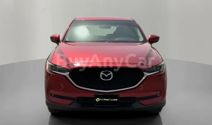 carsDetail