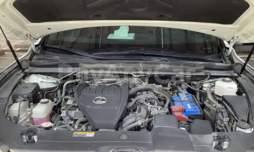 Vehicle photo 6