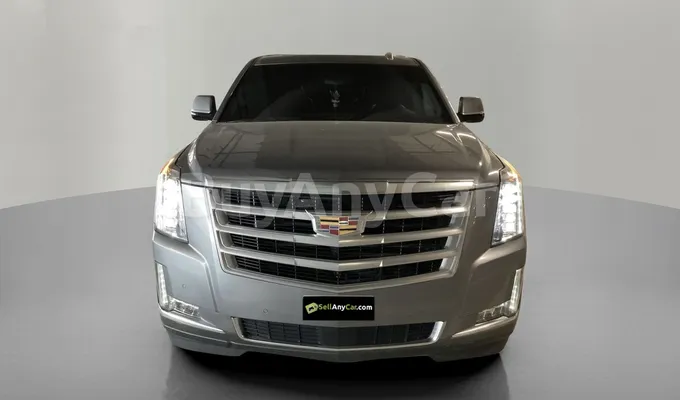 carsDetail