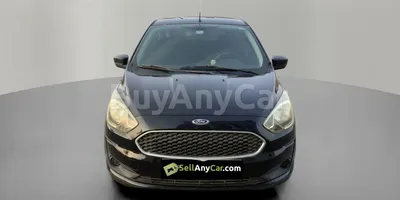 carsDetail