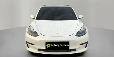 carsDetail
