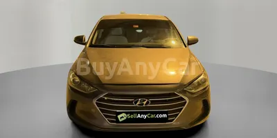 carsDetail