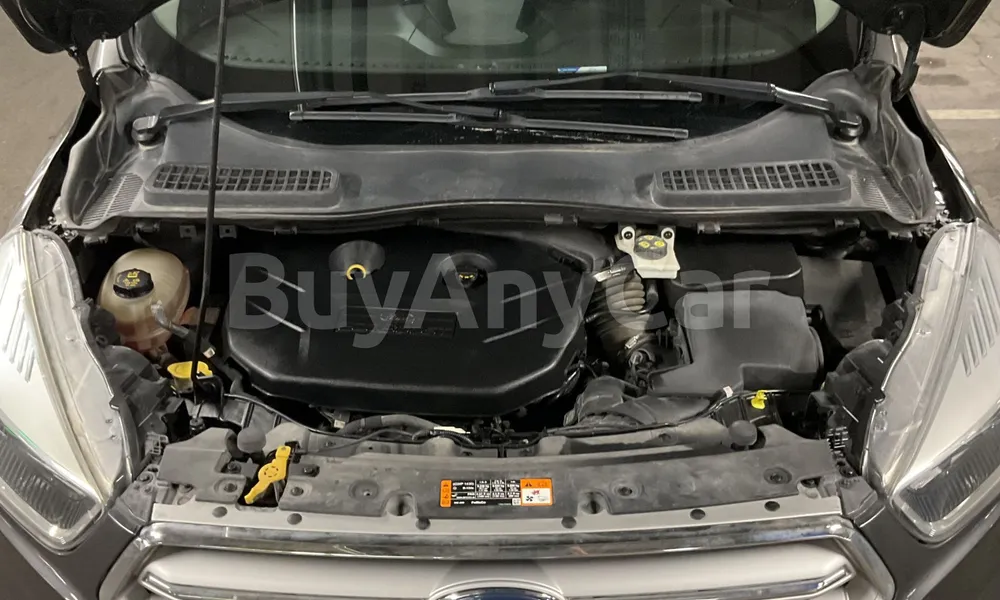 Vehicle photo 5