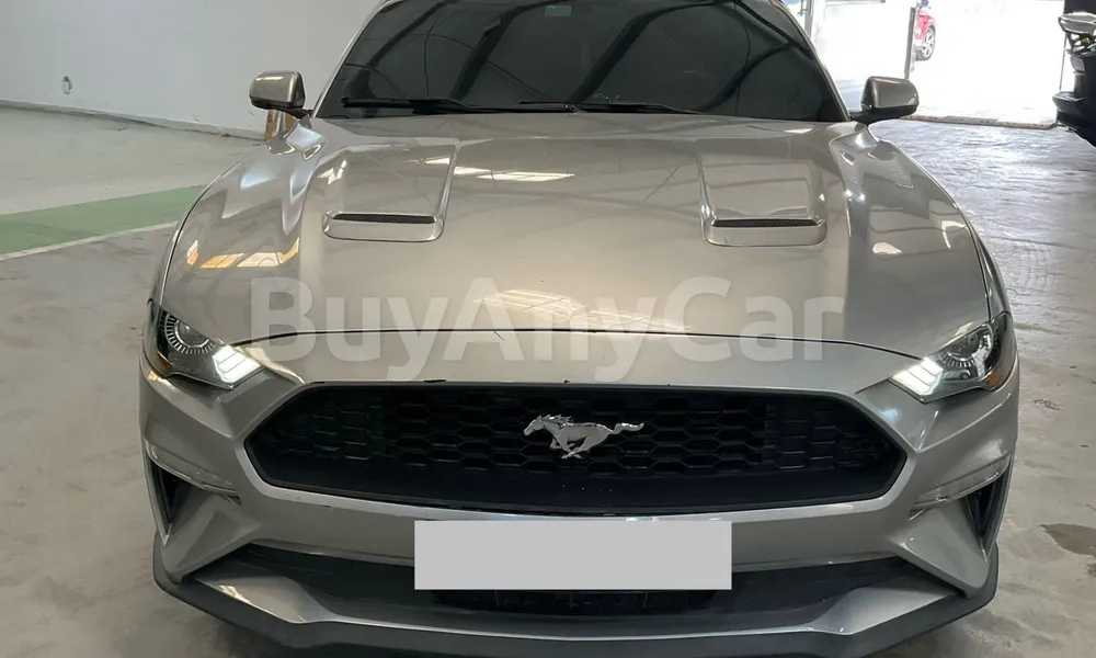 Vehicle photo 1