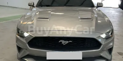 carsDetail