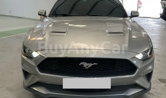 carsDetail