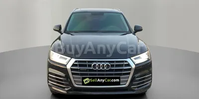 carsDetail
