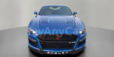carsDetail