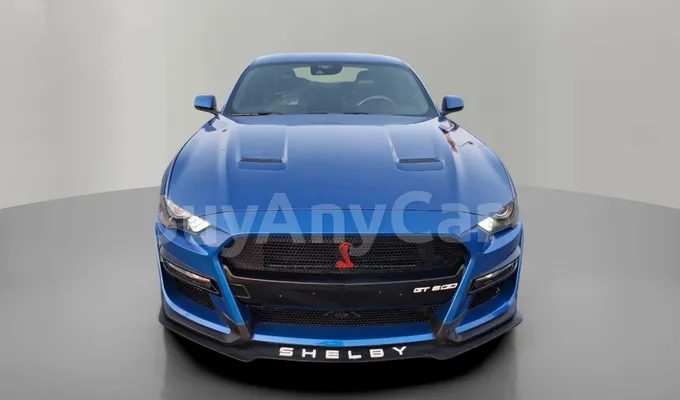 carsDetail