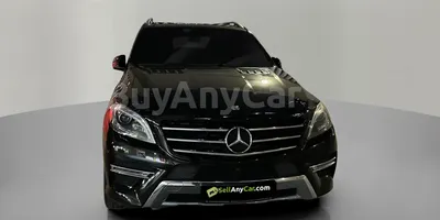 carsDetail
