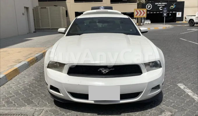 carsDetail