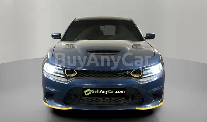 carsDetail