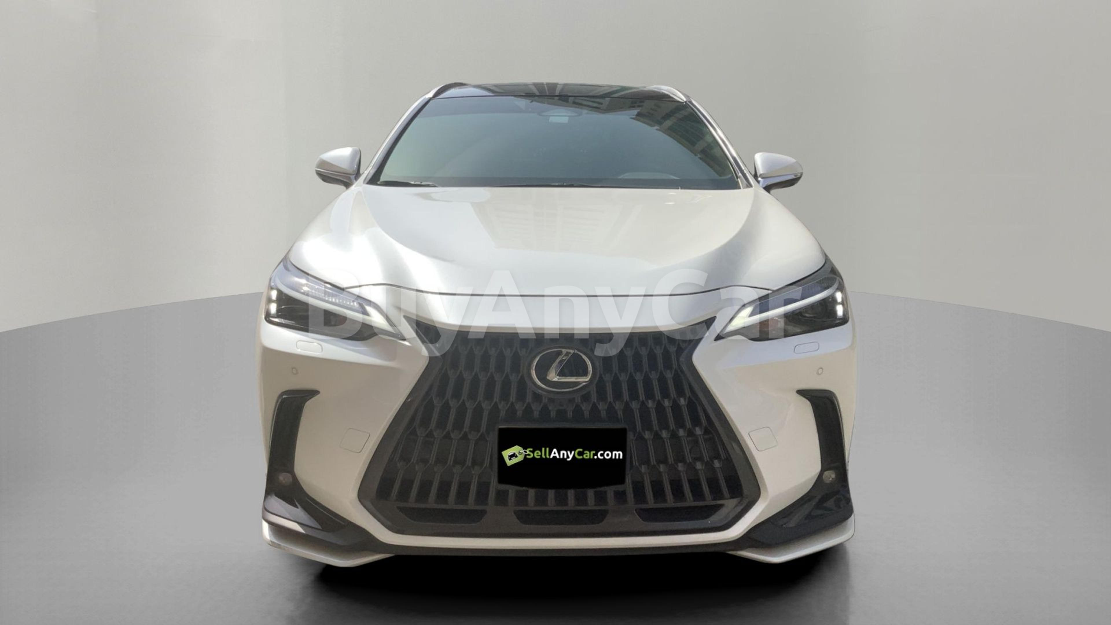 2025 Lexus NX