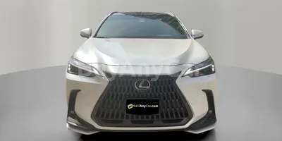 carsDetail