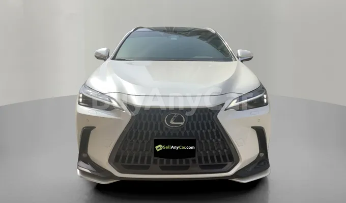 carsDetail