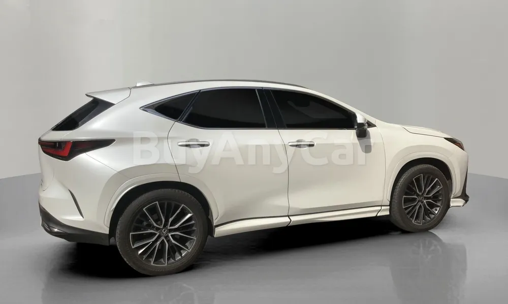 Vehicle photo 3