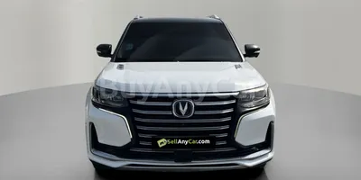 carsDetail