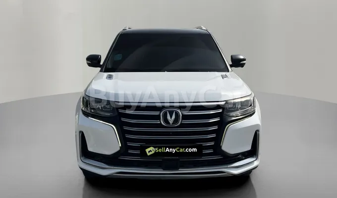 carsDetail