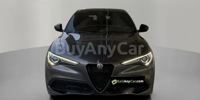 carsDetail