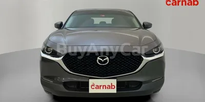 carsDetail
