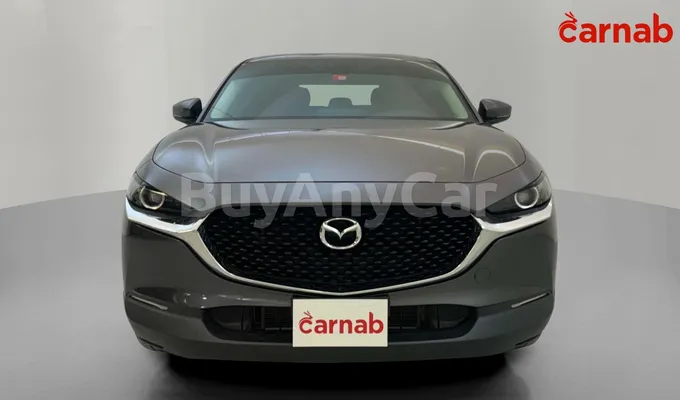 carsDetail