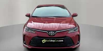 carsDetail