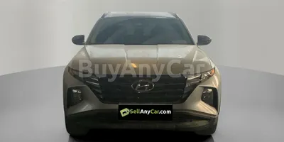 carsDetail