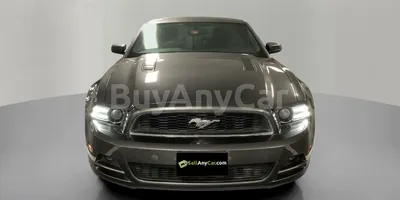 carsDetail