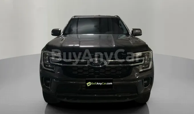 carsDetail
