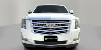 carsDetail