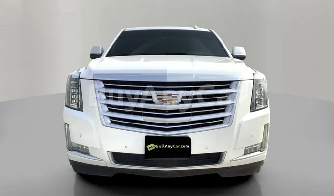 carsDetail