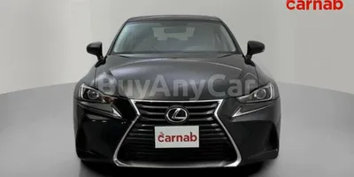 carsDetail
