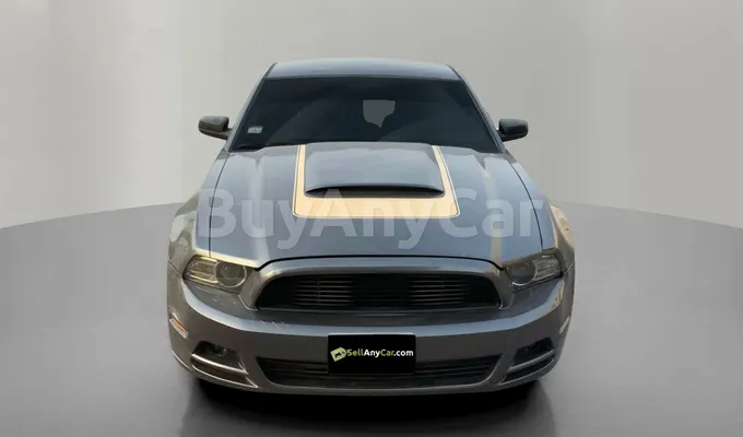 carsDetail