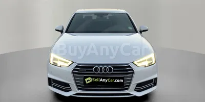 carsDetail