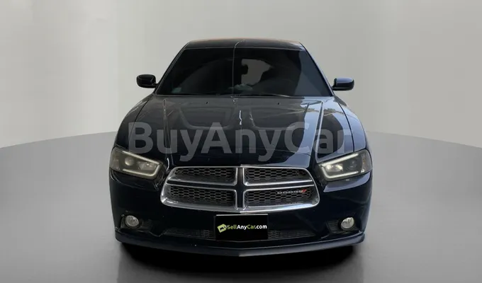 carsDetail