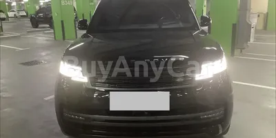 carsDetail