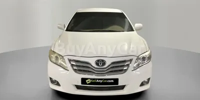 carsDetail