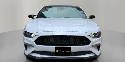 carsDetail