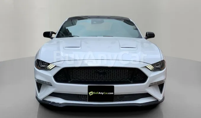 carsDetail