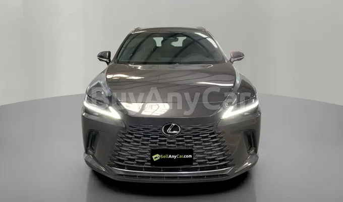 carsDetail