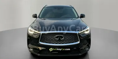 carsDetail