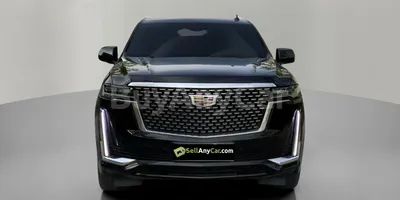 carsDetail