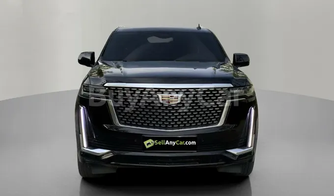 carsDetail